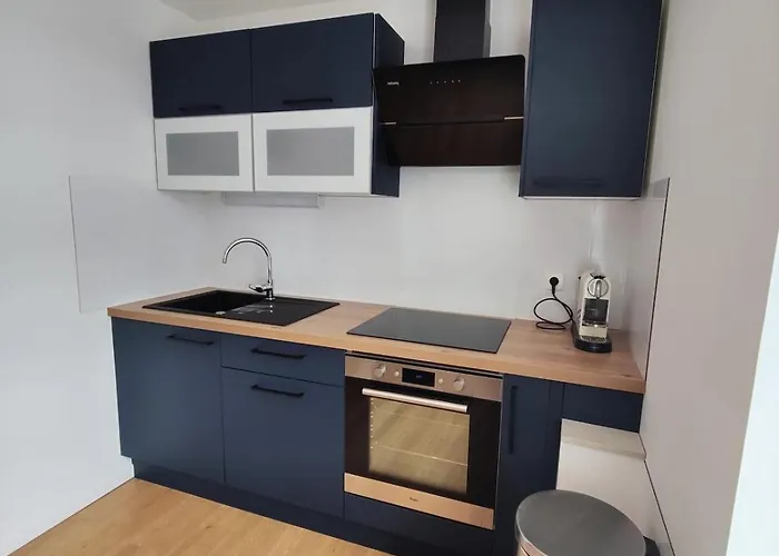 公寓 Le Benedictin 吕内维尔